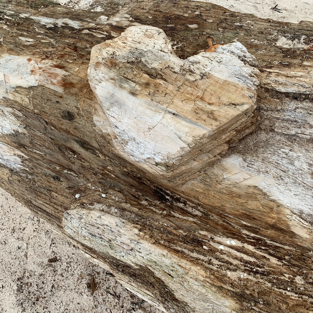 Meet your Posher, Lizaveta